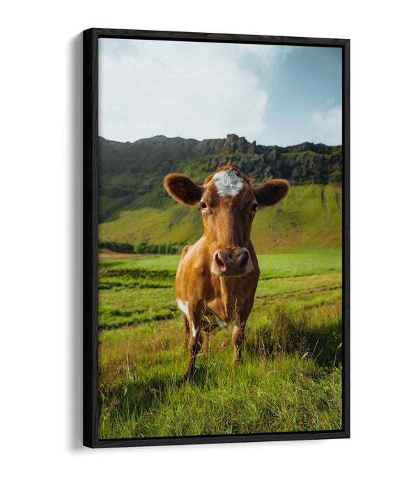Canvas Wall Art – Brown Cow In Green Field | Handmade Float Effect Frame
