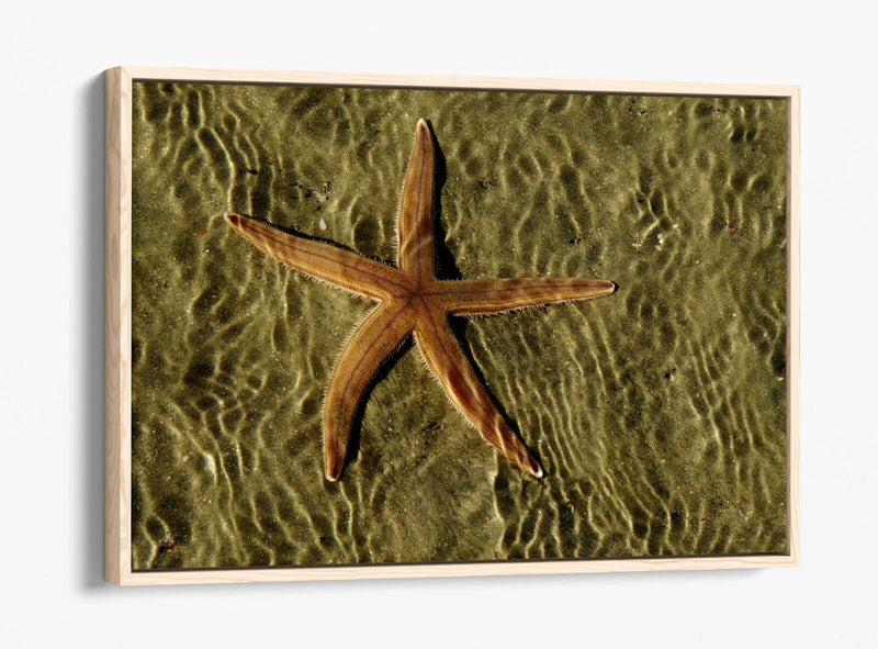 Canvas Wall Art - Starfish On Sand Float Effect Premium Handmade Print
