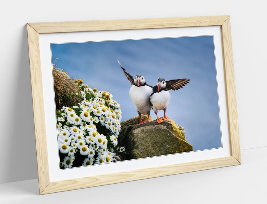 Framed Wall Art - Puffin Art Print on Cliff Edge | Bedroom Wall Decor, UK Handmade Frames