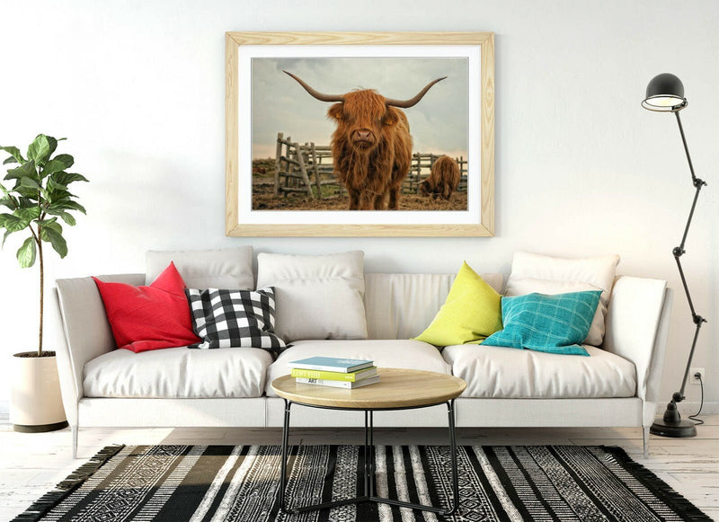 Highland Cow Wall Art - Rustic Farm Decor Framed Animal Poster Print