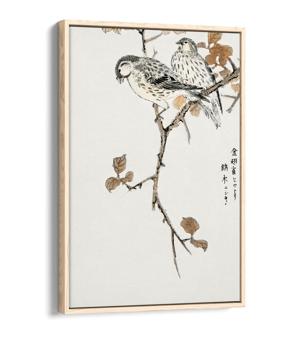 Canvas Wall Art - Numata Kashu Siskin & Euonymus Alata | Float Effect, Premium Frame