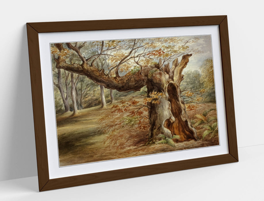 Framed Wall Art - Elizabeth Murray Rotting Tree Painting | Handmade UK Print