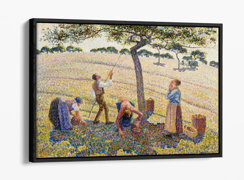 Float Effect Canvas Art – Apple Harvest by Camille Pissarro | Premium 30mm Deep Frame