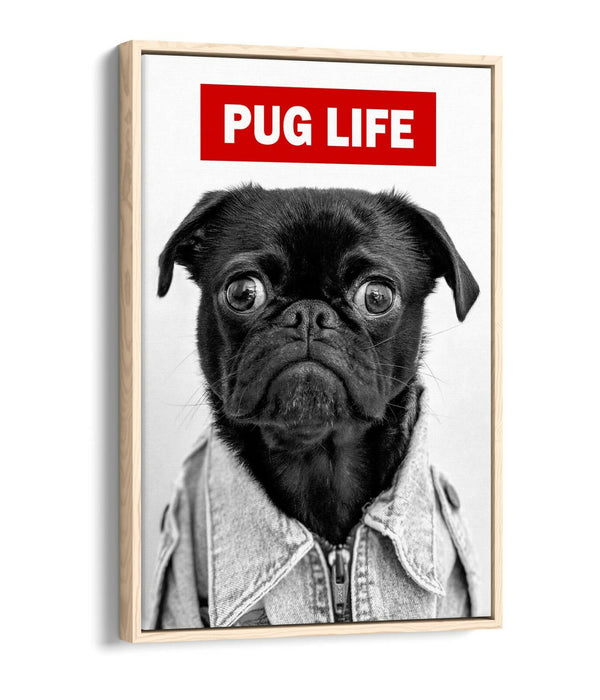 PUG LIFE -FLOAT EFFECT CANVAS WALL ART PIC PRINT GRAFFITI- BLACK & WHITE