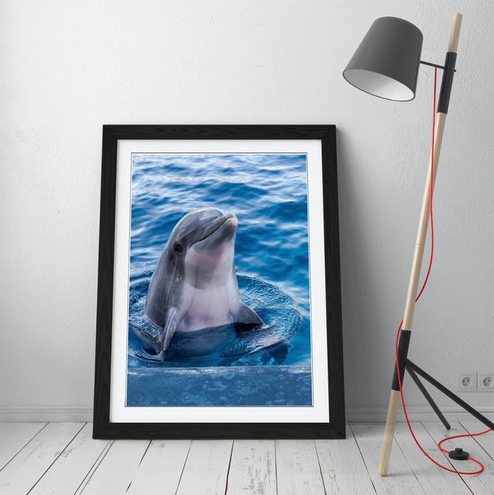 Dolphin Wall Art – Cute Dolphin Print Framed Art Poster | Handmade UK Frame
