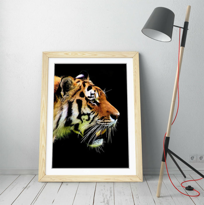 TIGER HEAD -FRAMED ART POSTER PICTURE PRINT ARTWORK- BLACK
