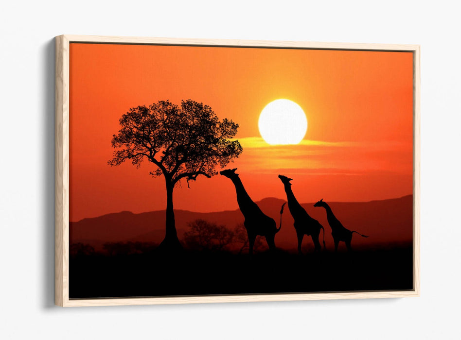 Safari Canvas Wall Art – African Landscape With Giraffes | Float Effect Print