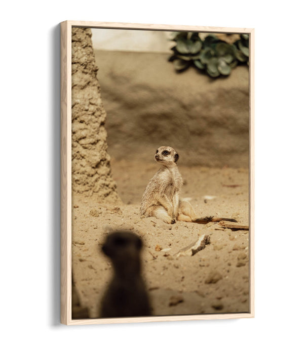 Canvas Wall Art - Cute Meerkat Print With Float Effect | Handmade UK Bedroom Decor