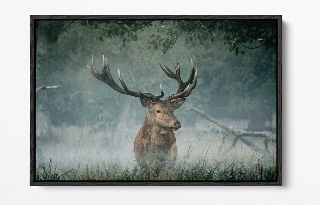 MAJESTIC STAG -FLOAT EFFECT CANVAS WALL ART PIC PRINT- ANIMAL PHOTO