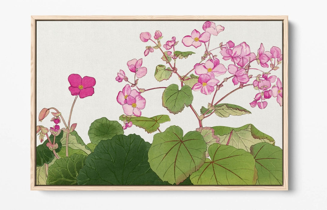 Float Effect Canvas Art – Handmade Japanese Begonia Flower Print on MDF Frame