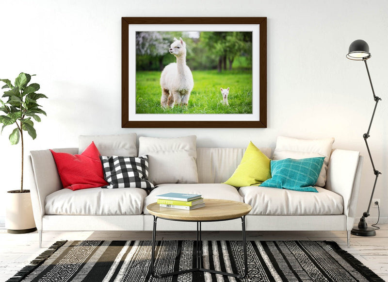 Llama Wall Art – Framed Art Print With Baby Llama Decor & Woodgrain Frame