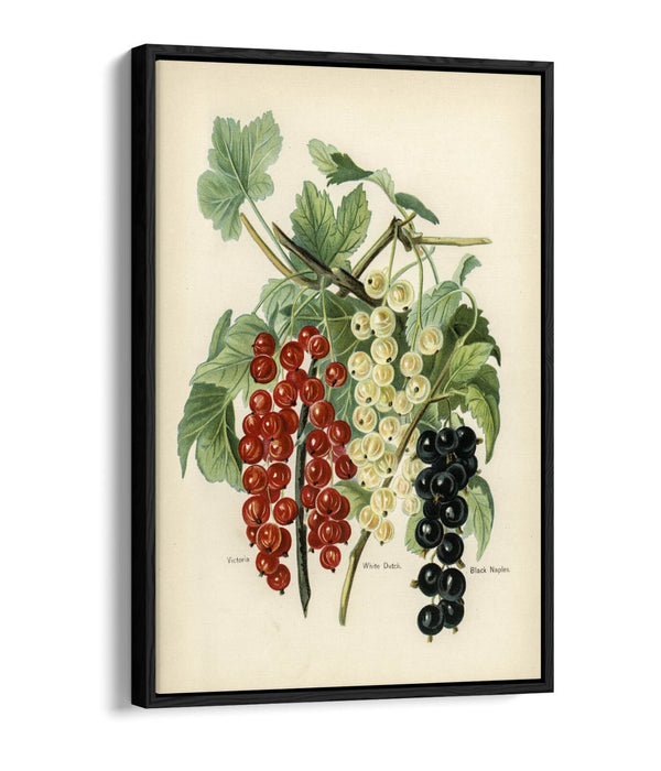 Canvas Art Print - Vintage Black Naples Float Effect Handmade Wall Art UK