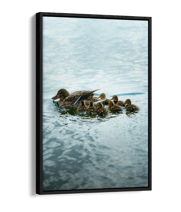 Duck Canvas Wall Art - Handmade UK Canvas Print With Float Effect Frame
