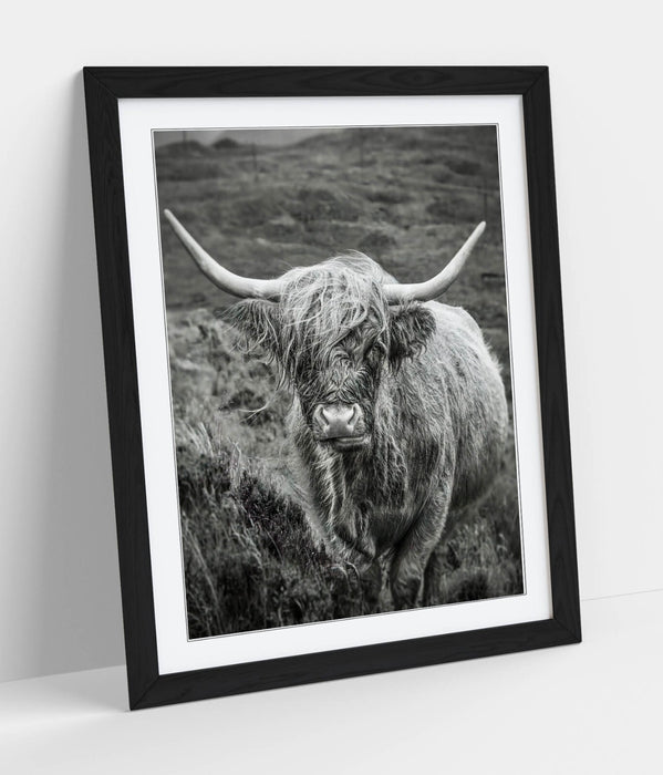 Highland Cow Wall Art – Black and White Poster with Natural Wood Frame | UK Handmade