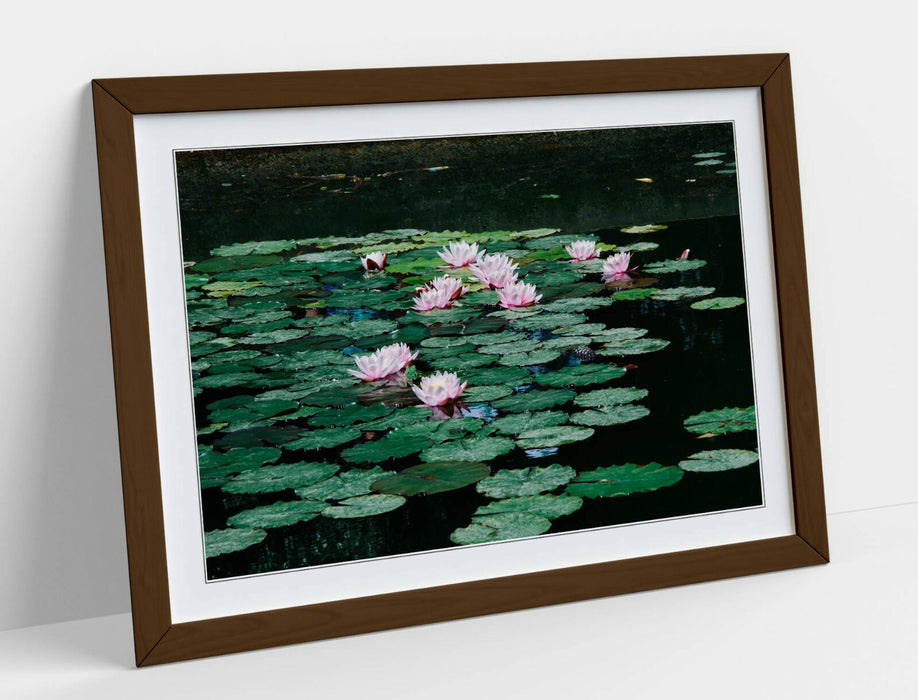 WATERLILIES FLORAL BOTANICAL PHOTOGRAPHY -FRAMED POSTER WALL ART PRINT ARTWORK