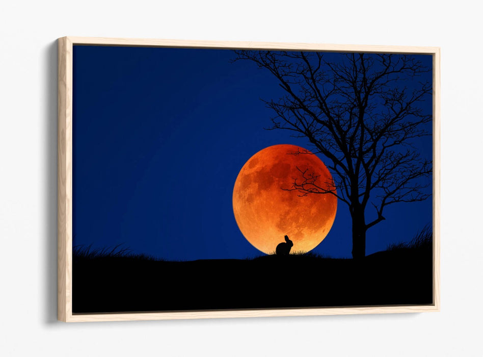 Canvas Wall Art – Rabbit Silhouette Moonlit Night | Premium Float Frame Print