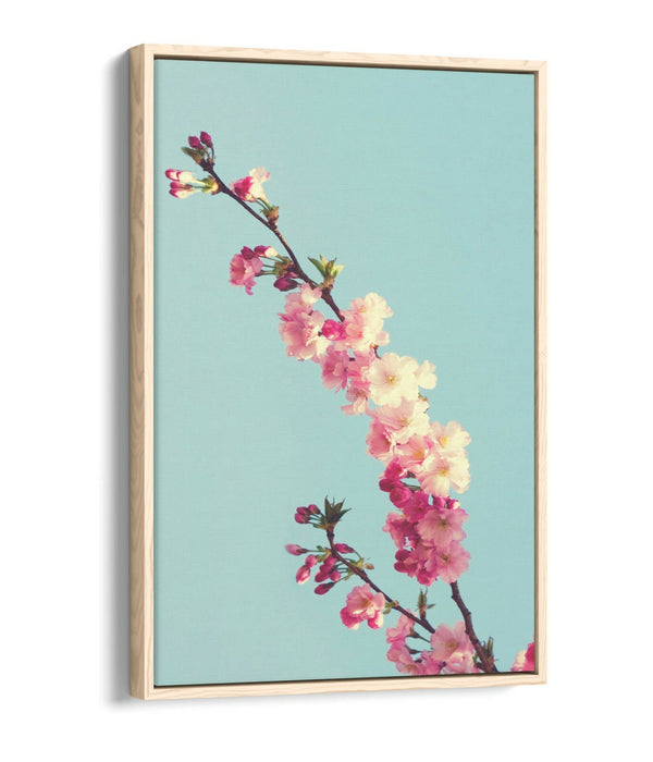 CHERRY BLOSSOM TEAL -FLOAT EFFECT CANVAS WALL ART PIC PRINT- CYAN