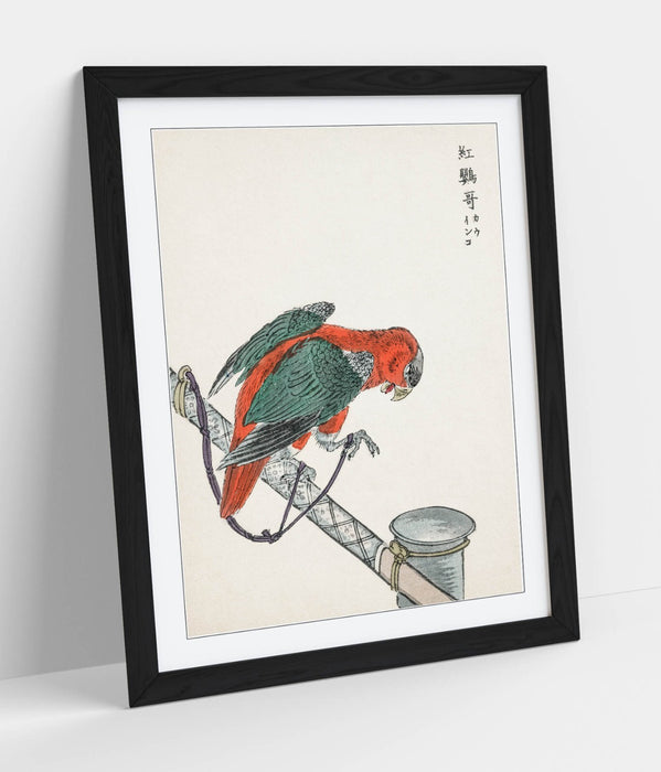 Framed Wall Art - Numata Kashu Macaw Poster Print | Handmade UK Woodgrain Frame