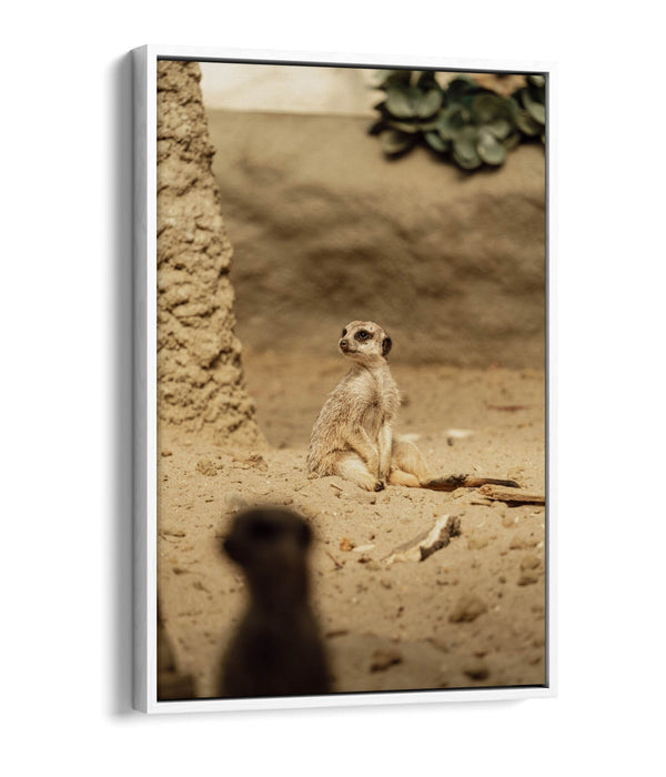 Canvas Wall Art - Cute Meerkat Print With Float Effect | Handmade UK Bedroom Decor