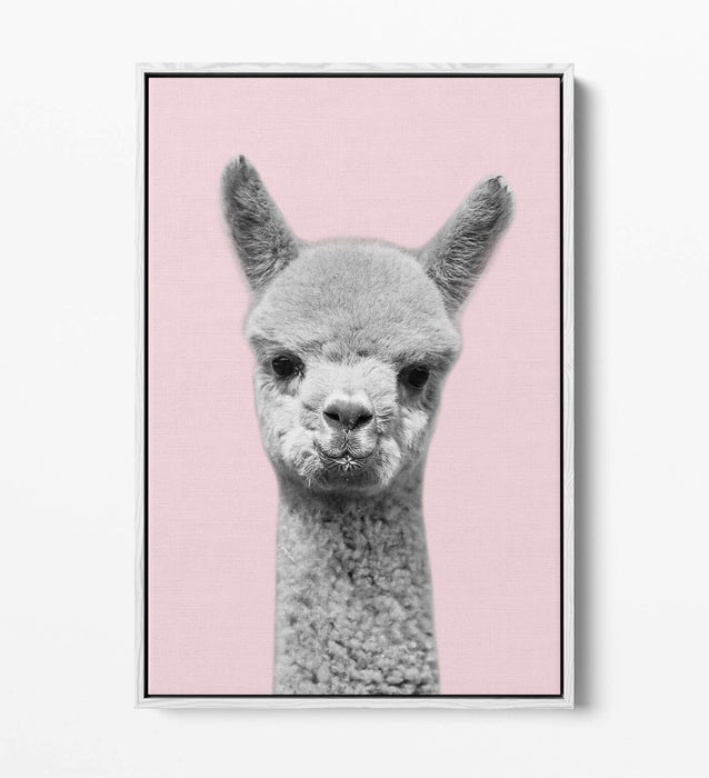 ALPACA BLACK WHITE BABY PINK FLOAT EFFECT CANVAS WALL ART PIC PRINT