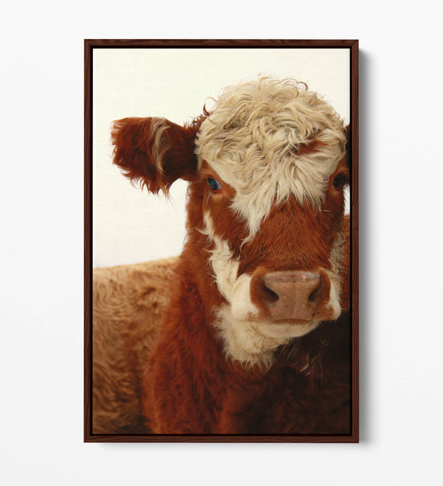 Cow Canvas Wall Art - Brown White Cow Print on Float Effect Canvas | Handmade