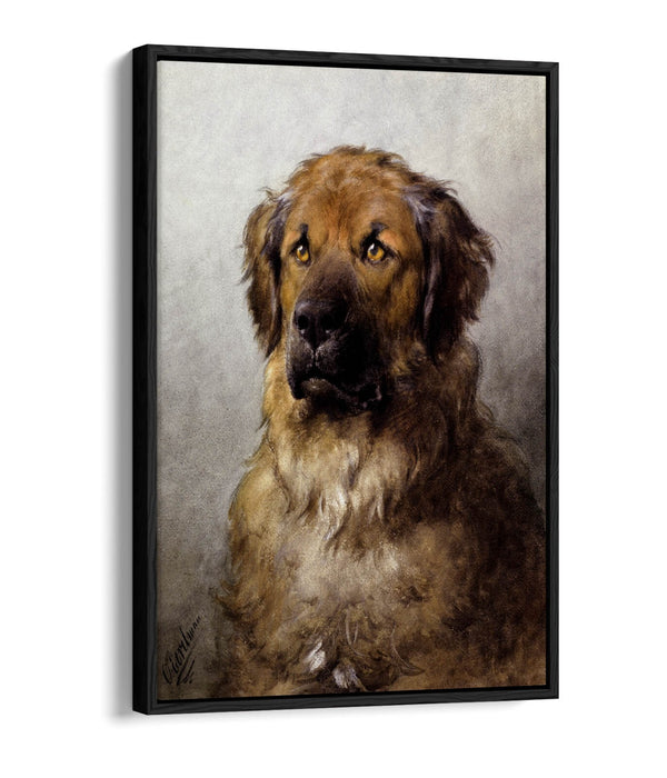 Canvas Wall Art – Otto Ereleman Head Of Leonberger | Premium Float Effect Print