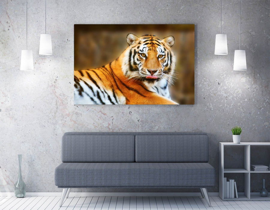 Tiger Canvas Art - Funny Tongue Out Tiger Print | Cute Wildlife Wall Decor