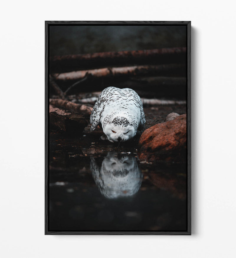 Snowy Owl Canvas Art - Float Effect Canvas Wall Art With Premium Varnish Finish