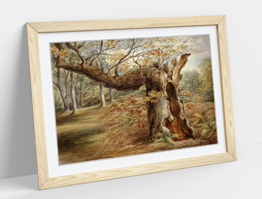 Framed Wall Art - Elizabeth Murray Rotting Tree Painting | Handmade UK Print