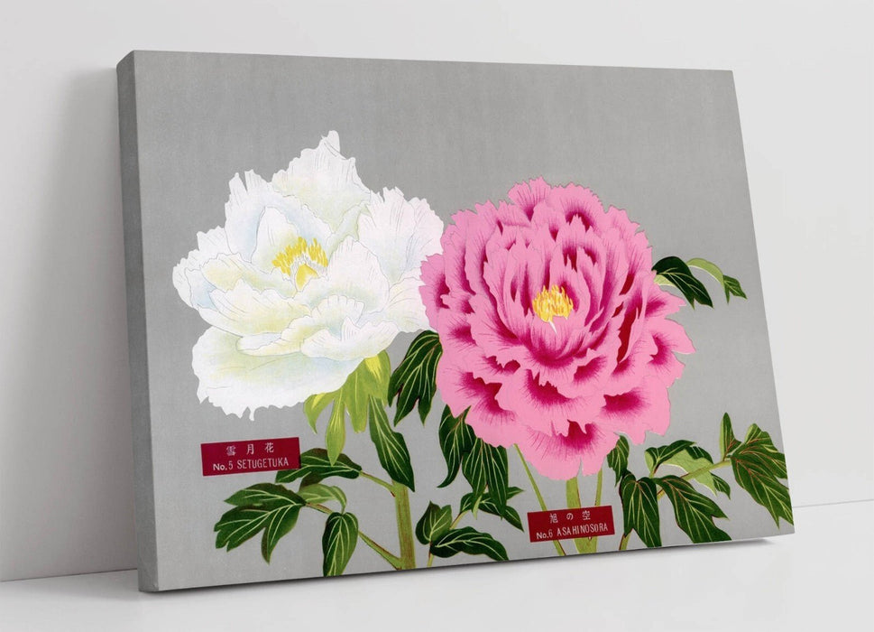 Canvas Wall Art - Pink And White Peonies Vintage Floral Print With Premium Varnish Finish