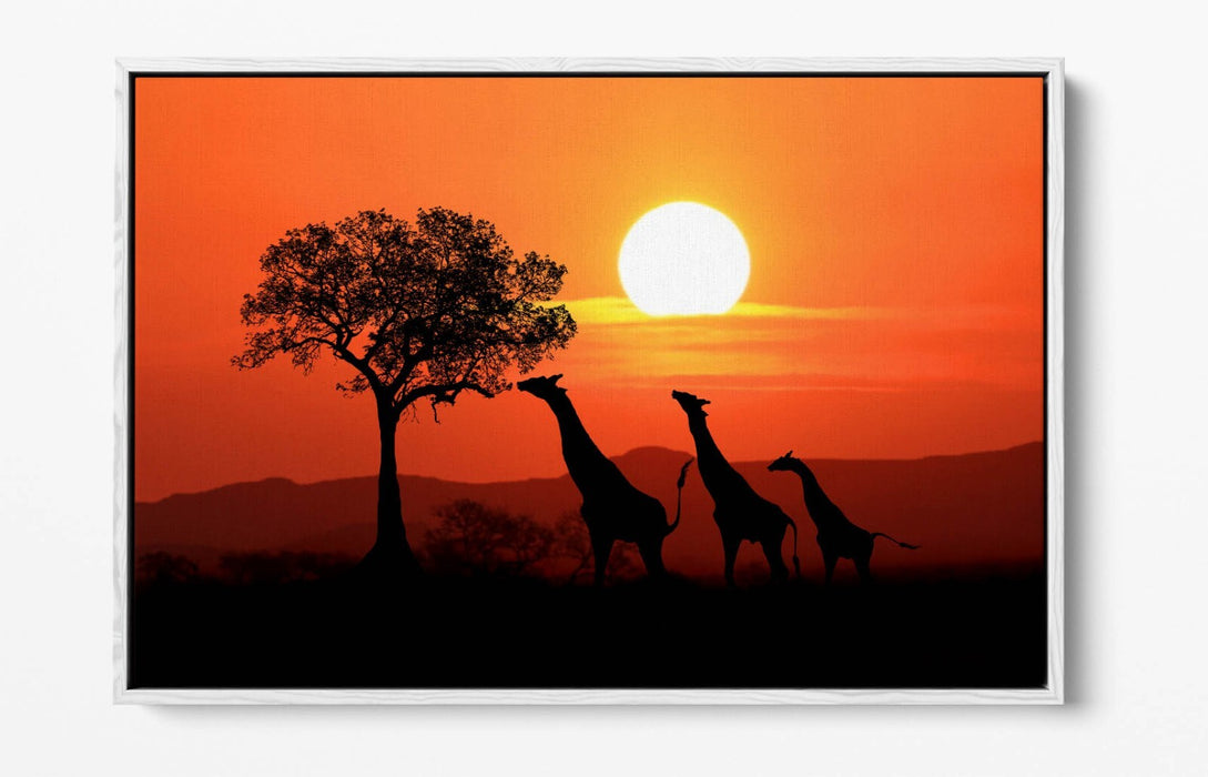 Safari Canvas Wall Art – African Landscape With Giraffes | Float Effect Print