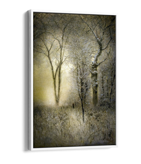 Canvas Wall Art – Winter Landscape Art with Float Effect Canvas Print