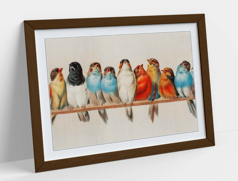 BIRDS ON A PERCH VINTAGE ART -ART FRAMED POSTER PICTURE PRINT ARTWORK- RED BLUE