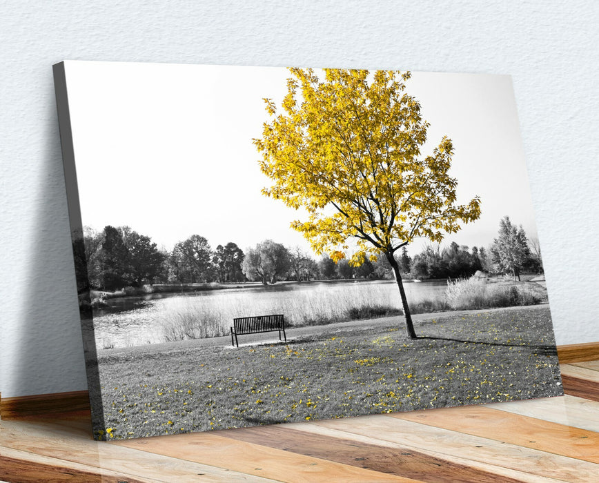 Canvas Wall Art - Yellow Tree Leaves Bench Black White Print 30mm Deep Frame