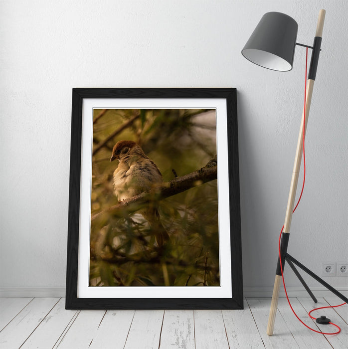 Bird Wall Art - Framed Tree Print With Woodgrain Frame | Bedroom Wall Decor