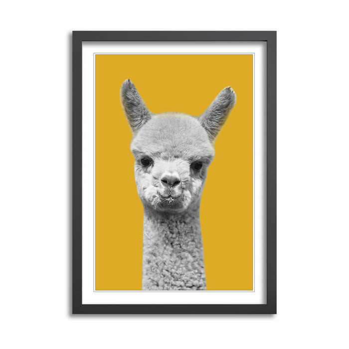 Happy Alpaca Wall Art – Framed Black White Poster With Yellow Mustard Decor