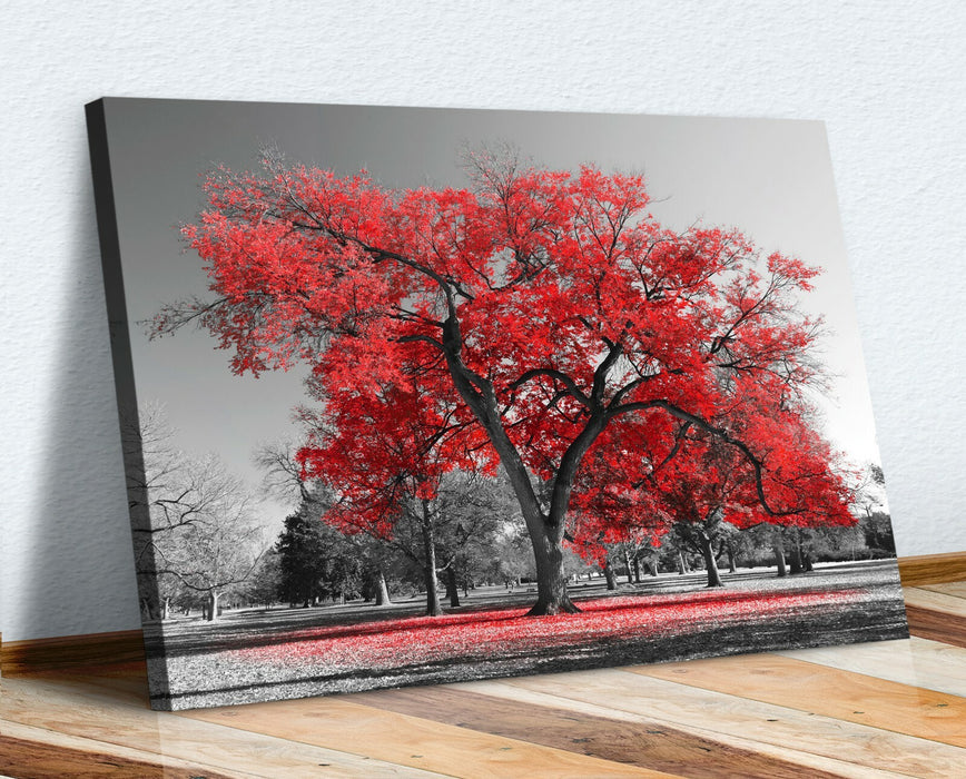 Canvas Wall Art Large Tree Red Leaves Black White 30mm Deep Premium Print
