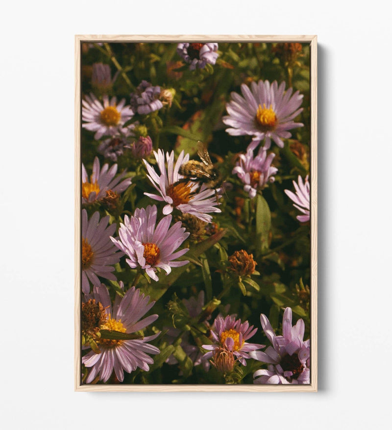 Canvas Wall Art - Grainy Bee On Flowers | Handmade Vibrant Floral Artwork, 30mm Deep Frame