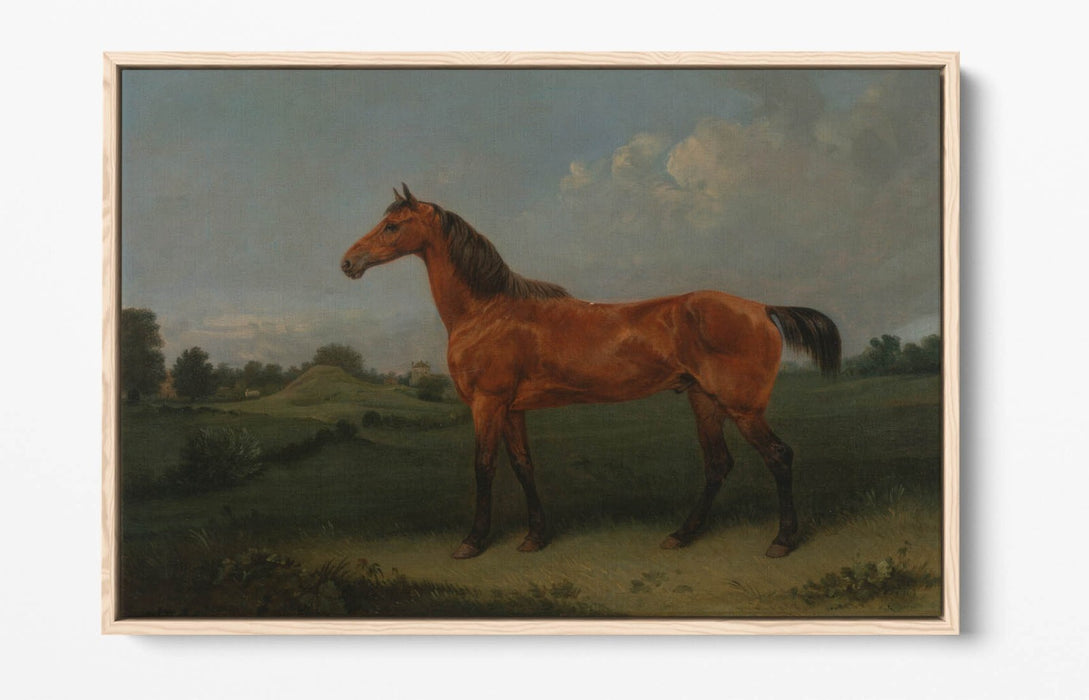 Canvas Wall Art - Edmund Bristow Bay Horse Float Effect Handmade Print