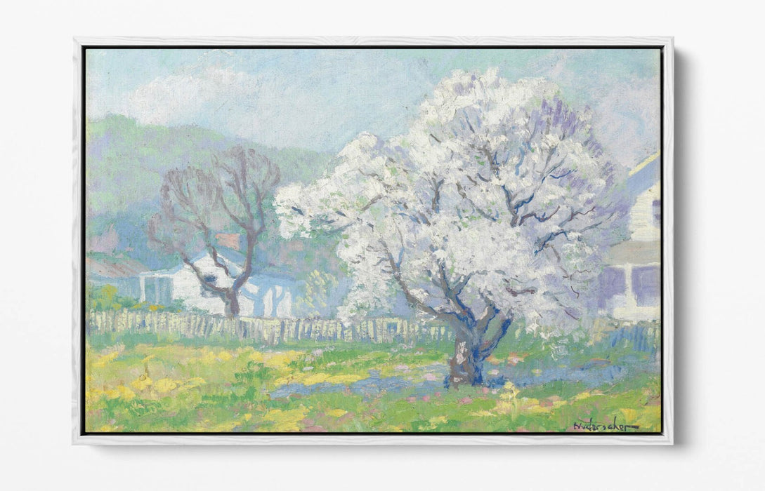 FRANK NUDERSCHER, CHERRY BLOSSOMS -FLOAT EFFECT CANVAS WALL ART PRINT