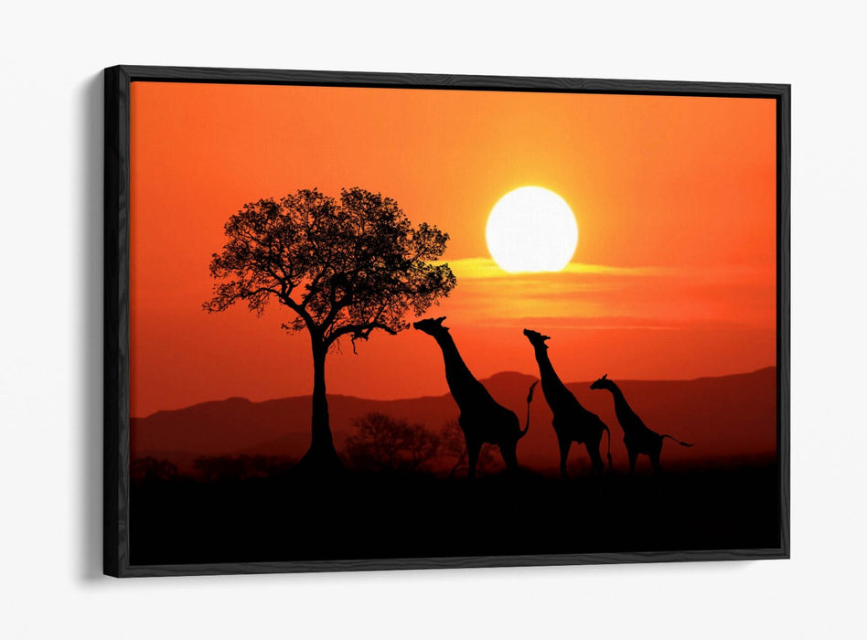 Safari Canvas Wall Art – African Landscape With Giraffes | Float Effect Print