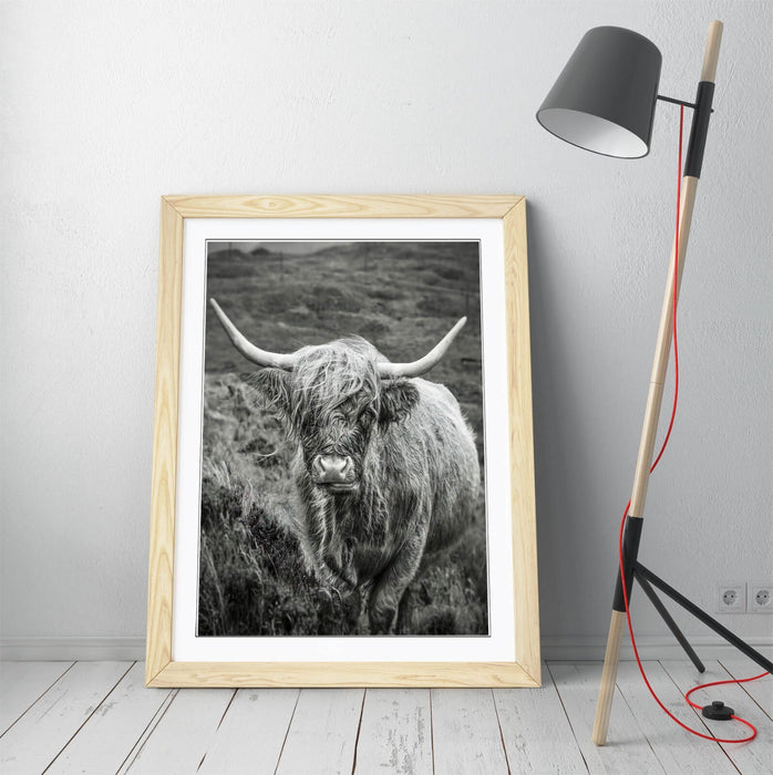 Highland Cow Wall Art – Black and White Poster with Natural Wood Frame | UK Handmade