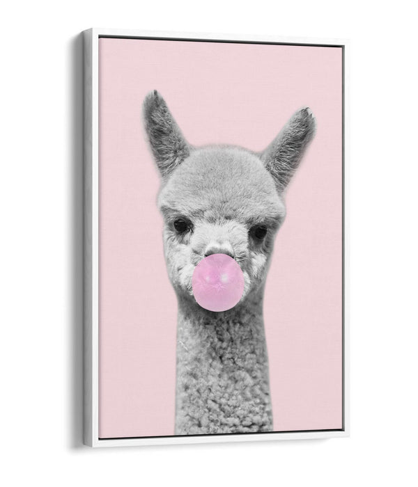 ALPACA BLACK WHITE BABY PINK BUBBLEGUM FLOAT EFFECT CANVAS WALL ART PIC PRINT