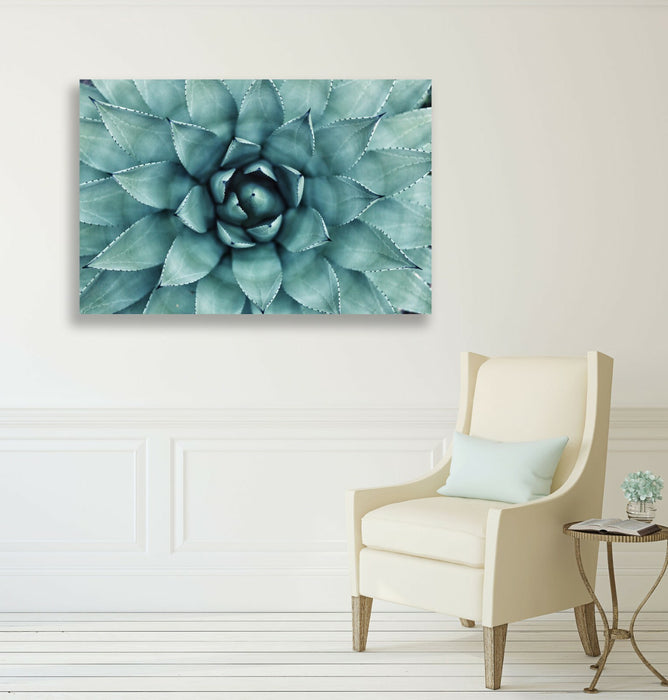 Canvas Wall Art – Framed Green Succulent Plant Poster With Scratch Resistant Finish