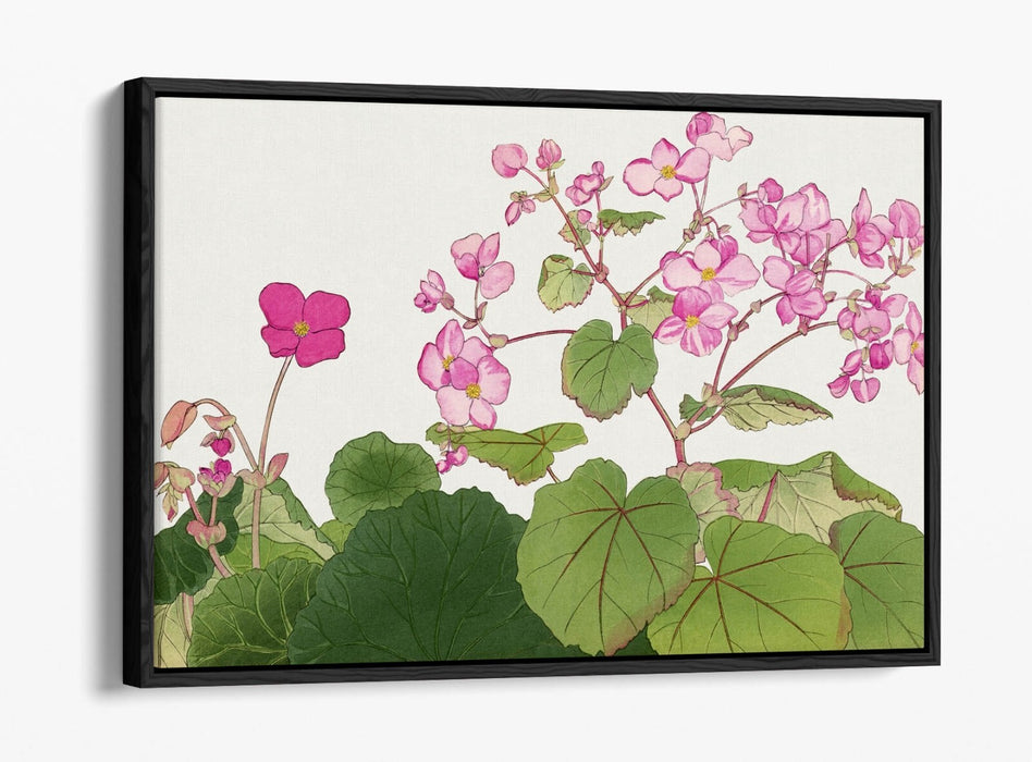 Float Effect Canvas Art – Handmade Japanese Begonia Flower Print on MDF Frame