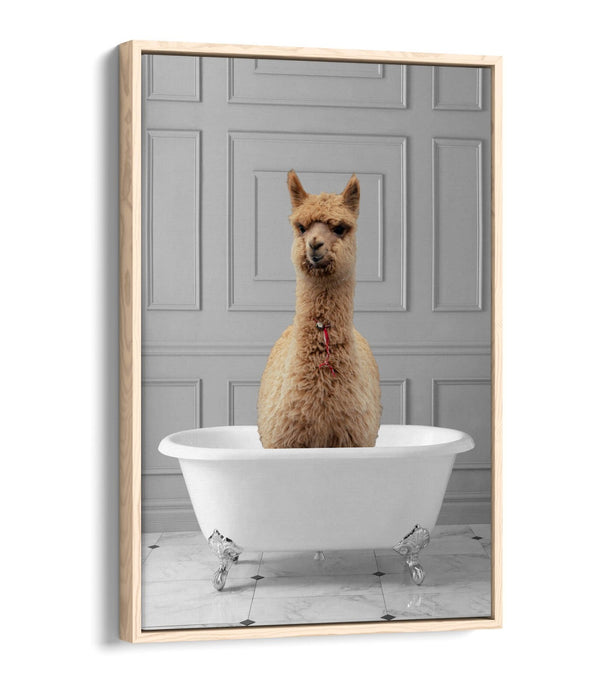 LLAMA IN BATHTUB -QUIRKY BATHROOM FLOAT EFFECT CANVAS WALL ART PIC PRINT