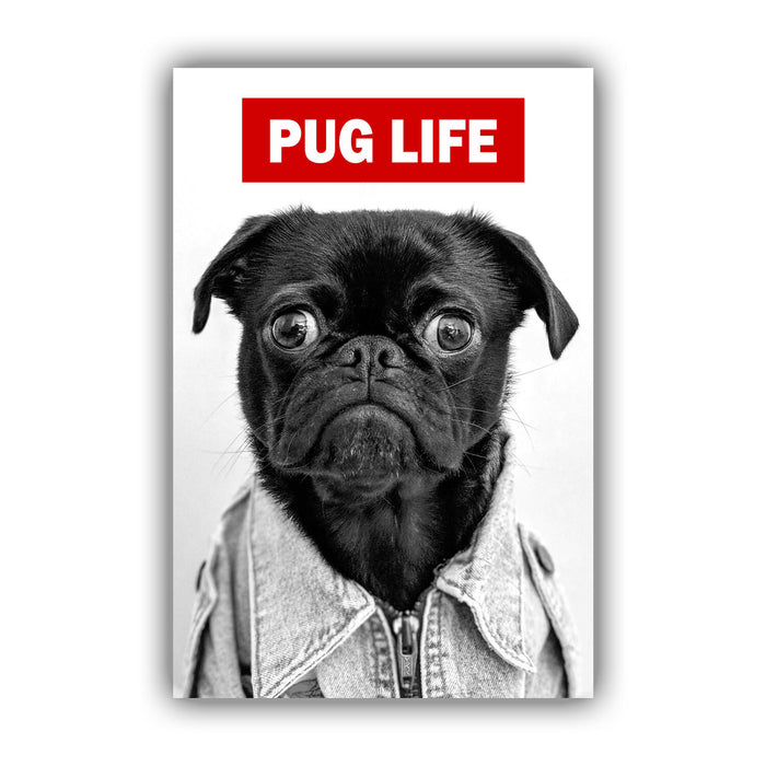 Pug Canvas Wall Art – Black and White Red Pug Artwork | Handmade Canvas Print