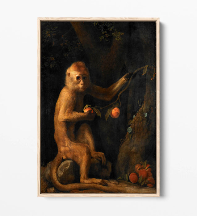 Canvas Wall Art Print – George Stubbs Monkey | Premium Float Effect Canvas
