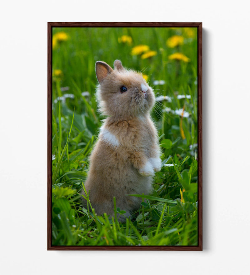 Bunny Canvas Wall Art – Cute Rabbit Home Decor With Float Effect Canvas Print