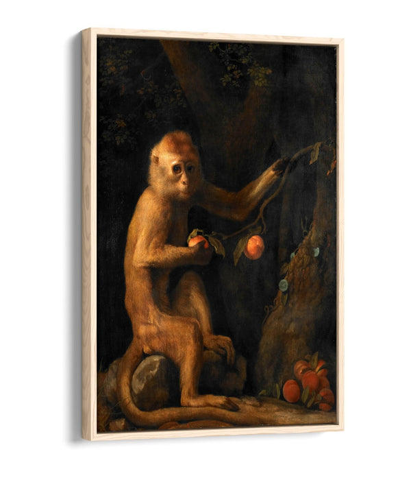 Canvas Wall Art Print – George Stubbs Monkey | Premium Float Effect Canvas